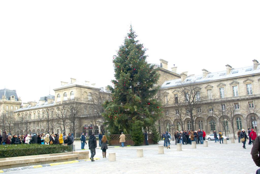 Notre Dame, kerstboom